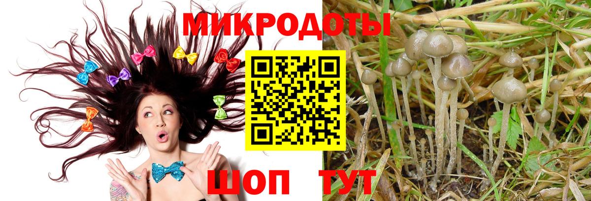 где найти   Галлюциногенные грибы Psilocybe  Вход с VPN  Сибай 