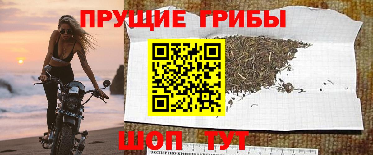 Псилоцибиновые грибы MAGIC MUSHROOMS Сибай